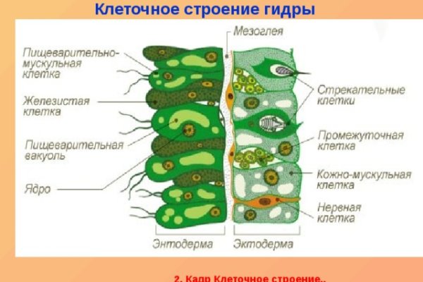 Кракен вход