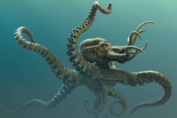 Kraken 17at